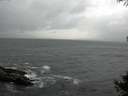 ./images/koeye/fitz-hugh/20141003/fitz-hugh20141003_170502.jpg