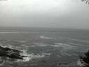 ./images/koeye/fitz-hugh/20141004/fitz-hugh20141004_070503.jpg