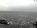 ./images/koeye/fitz-hugh/20141004/fitz-hugh20141004_071502.jpg