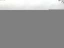./images/koeye/fitz-hugh/20141004/fitz-hugh20141004_072002.jpg