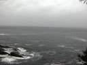 ./images/koeye/fitz-hugh/20141004/fitz-hugh20141004_072503.jpg
