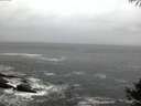 ./images/koeye/fitz-hugh/20141004/fitz-hugh20141004_073503.jpg