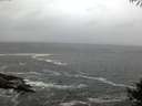 ./images/koeye/fitz-hugh/20141004/fitz-hugh20141004_074002.jpg