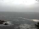 ./images/koeye/fitz-hugh/20141004/fitz-hugh20141004_075503.jpg