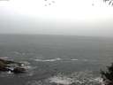 ./images/koeye/fitz-hugh/20141004/fitz-hugh20141004_080003.jpg