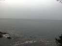 ./images/koeye/fitz-hugh/20141004/fitz-hugh20141004_084502.jpg