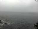 ./images/koeye/fitz-hugh/20141004/fitz-hugh20141004_091502.jpg