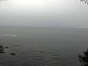 ./images/koeye/fitz-hugh/20141004/fitz-hugh20141004_092502.jpg