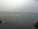 ./images/koeye/fitz-hugh/20141004/fitz-hugh20141004_093501.jpg