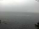 ./images/koeye/fitz-hugh/20141004/fitz-hugh20141004_094502.jpg