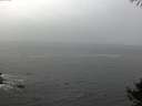 ./images/koeye/fitz-hugh/20141004/fitz-hugh20141004_095002.jpg
