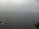 ./images/koeye/fitz-hugh/20141004/fitz-hugh20141004_095503.jpg
