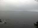 ./images/koeye/fitz-hugh/20141004/fitz-hugh20141004_100502.jpg