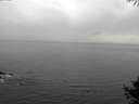 ./images/koeye/fitz-hugh/20141004/fitz-hugh20141004_102503.jpg