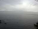 ./images/koeye/fitz-hugh/20141004/fitz-hugh20141004_104003.jpg
