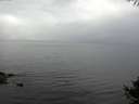 ./images/koeye/fitz-hugh/20141004/fitz-hugh20141004_111001.jpg