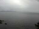 ./images/koeye/fitz-hugh/20141004/fitz-hugh20141004_114001.jpg