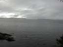 ./images/koeye/fitz-hugh/20141004/fitz-hugh20141004_131003.jpg