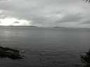 ./images/koeye/fitz-hugh/20141004/fitz-hugh20141004_132001.jpg
