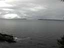 ./images/koeye/fitz-hugh/20141004/fitz-hugh20141004_134501.jpg