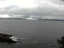 ./images/koeye/fitz-hugh/20141004/fitz-hugh20141004_142503.jpg