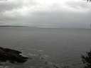 ./images/koeye/fitz-hugh/20141004/fitz-hugh20141004_162002.jpg