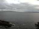./images/koeye/fitz-hugh/20141004/fitz-hugh20141004_170503.jpg