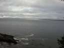 ./images/koeye/fitz-hugh/20141004/fitz-hugh20141004_172502.jpg