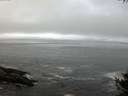 ./images/koeye/fitz-hugh/20141004/fitz-hugh20141004_182501.jpg