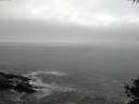 ./images/koeye/fitz-hugh/20141004/fitz-hugh20141004_184002.jpg