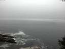 ./images/koeye/fitz-hugh/20141004/fitz-hugh20141004_185002.jpg