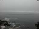 ./images/koeye/fitz-hugh/20141004/fitz-hugh20141004_185502.jpg