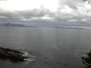 ./images/koeye/fitz-hugh/20141005/fitz-hugh20141005_074501.jpg