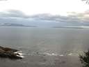 ./images/koeye/fitz-hugh/20141005/fitz-hugh20141005_075502.jpg