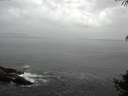 ./images/koeye/fitz-hugh/20141005/fitz-hugh20141005_081002.jpg
