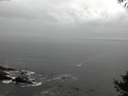 ./images/koeye/fitz-hugh/20141005/fitz-hugh20141005_084002.jpg