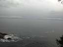 ./images/koeye/fitz-hugh/20141005/fitz-hugh20141005_084502.jpg