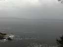 ./images/koeye/fitz-hugh/20141005/fitz-hugh20141005_090503.jpg
