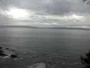 ./images/koeye/fitz-hugh/20141005/fitz-hugh20141005_092003.jpg
