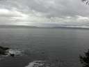 ./images/koeye/fitz-hugh/20141005/fitz-hugh20141005_092502.jpg