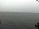 ./images/koeye/fitz-hugh/20141005/fitz-hugh20141005_102002.jpg
