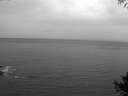 ./images/koeye/fitz-hugh/20141005/fitz-hugh20141005_105002.jpg