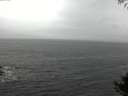 ./images/koeye/fitz-hugh/20141005/fitz-hugh20141005_115502.jpg
