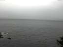 ./images/koeye/fitz-hugh/20141005/fitz-hugh20141005_124502.jpg