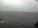 ./images/koeye/fitz-hugh/20141005/fitz-hugh20141005_125503.jpg