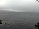 ./images/koeye/fitz-hugh/20141005/fitz-hugh20141005_132502.jpg