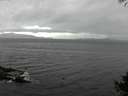 ./images/koeye/fitz-hugh/20141005/fitz-hugh20141005_135503.jpg