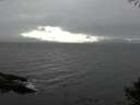 ./images/koeye/fitz-hugh/20141005/fitz-hugh20141005_144501.jpg
