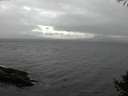 ./images/koeye/fitz-hugh/20141005/fitz-hugh20141005_145501.jpg
