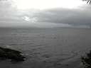 ./images/koeye/fitz-hugh/20141005/fitz-hugh20141005_151002.jpg